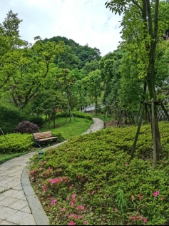 风景3.jpeg
