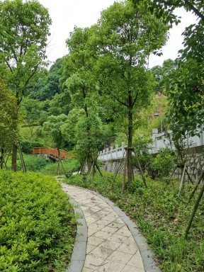 风景2.jpeg